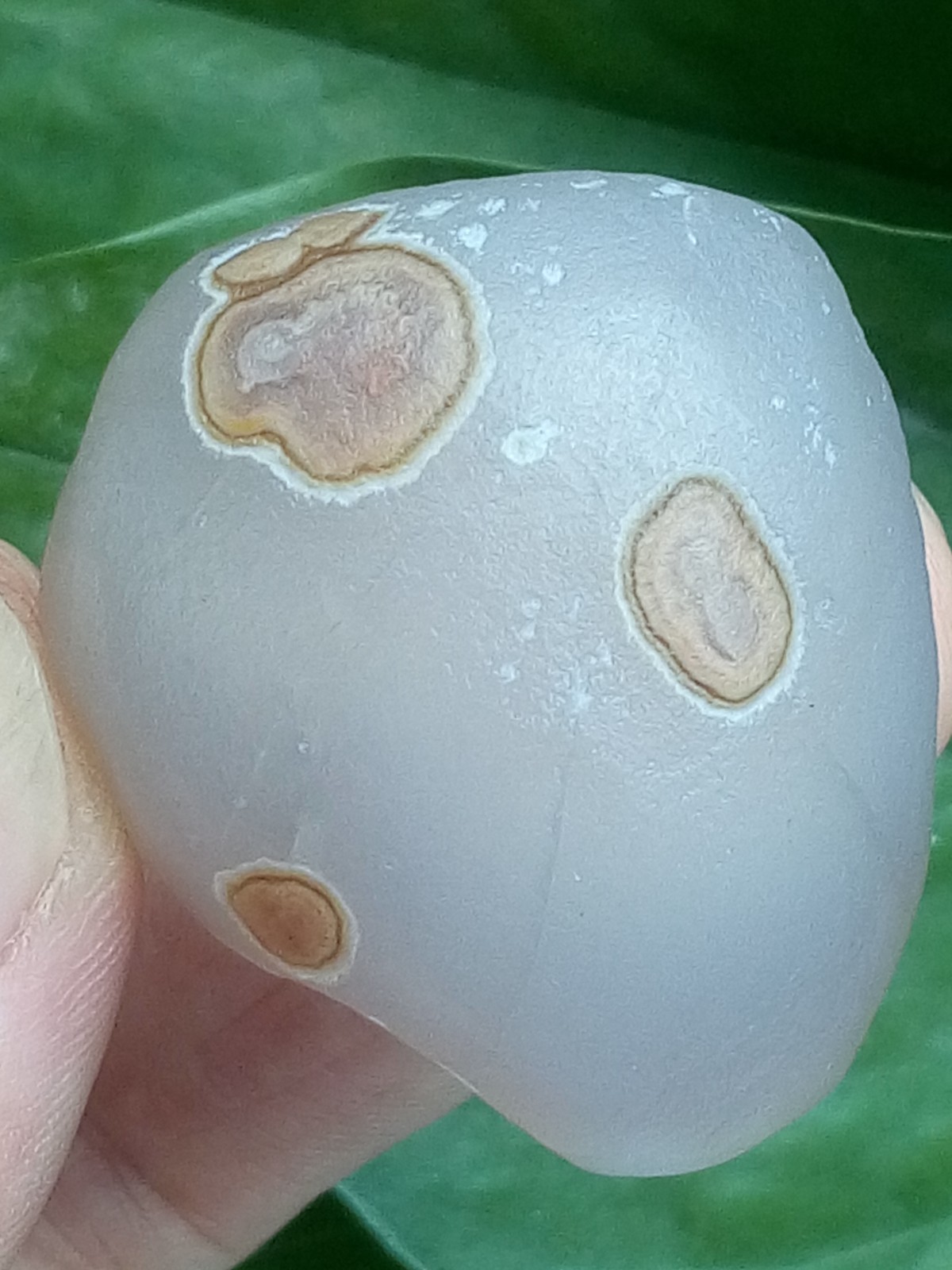 36mm Natural GoBi agate eye agate stone Polishing collection