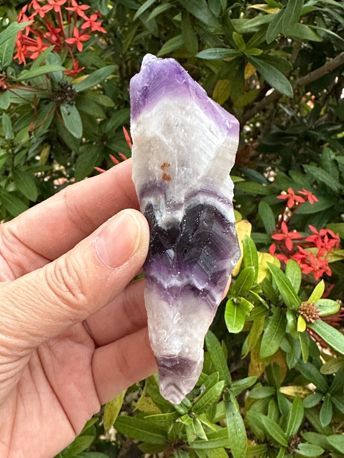 Extra Large Chevron Amethyst Rough Stone, 2″- 7″ Raw Chevron Amethyst Crystals