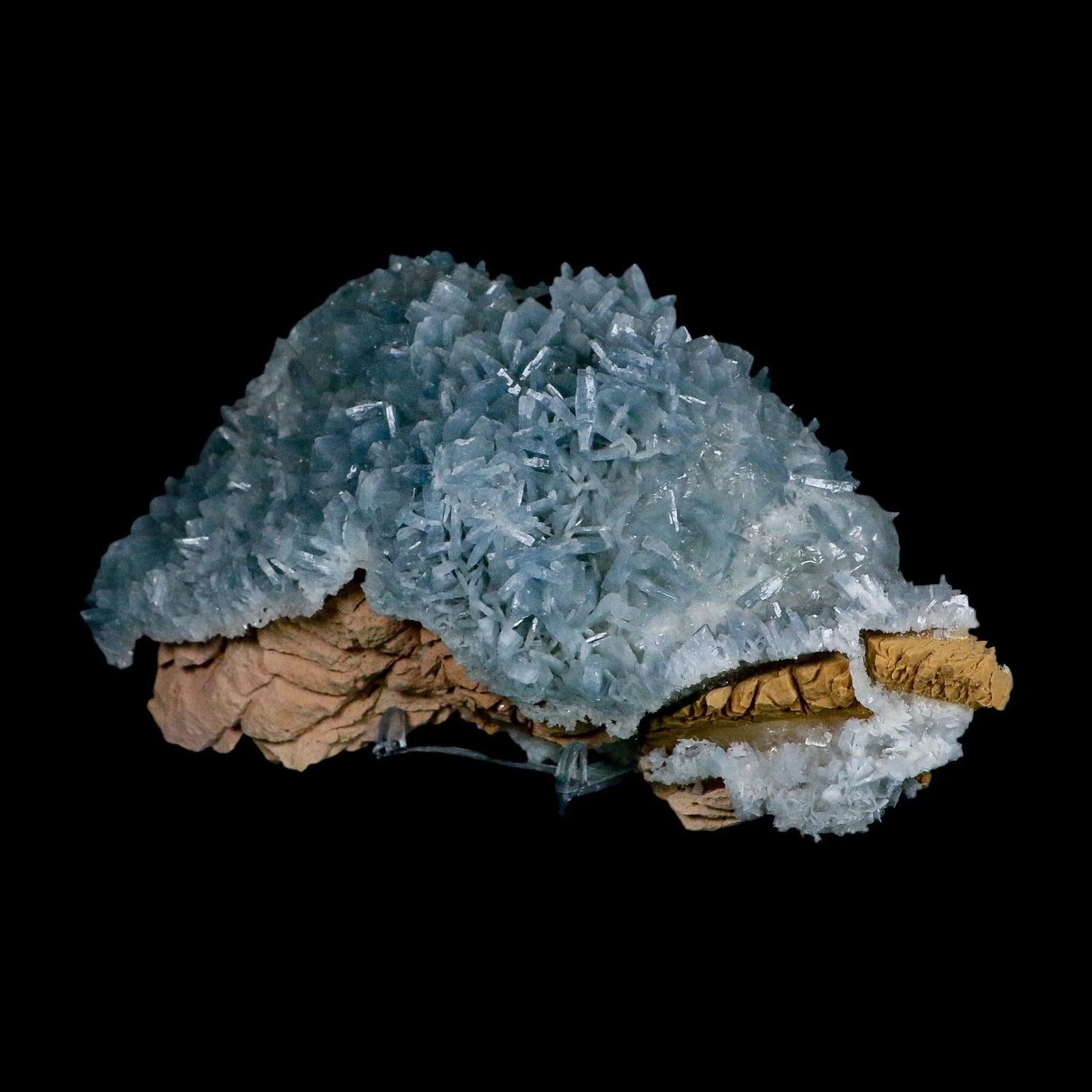 XL 7″ Ice Blue Tabular Barite Blades Crystal Mineral Meknes-Tafilalet Morocco
