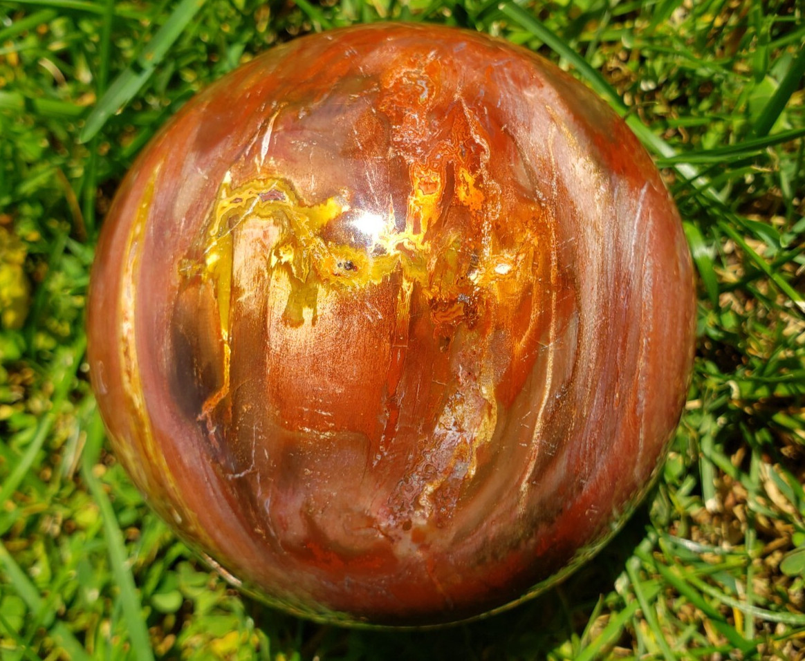 3.36″ Red Petrified Wood Sphere Orb Quartz Crystal Ball Fossil Mineral UV, 865g