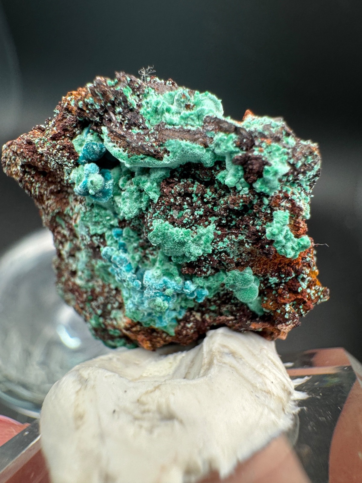 6757 Rosasite and Malachite on Matrix in Perky 8g Ojuela Mine, MX