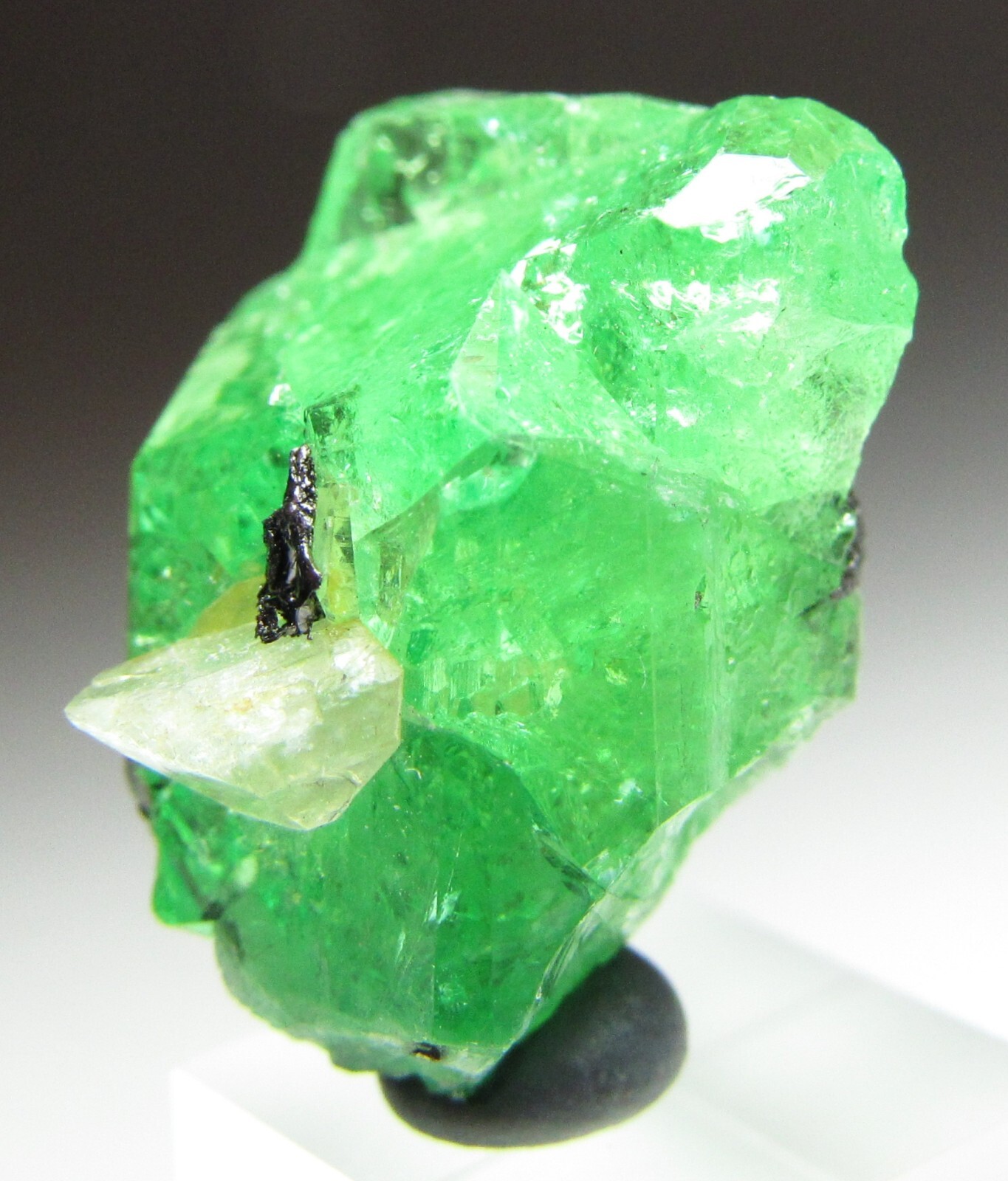 EXQUISITE ELEGANT GLASSY GEM TSAVORITE GROSSULAR GARNET W/ DIOPSIDE!!! TANZANIA
