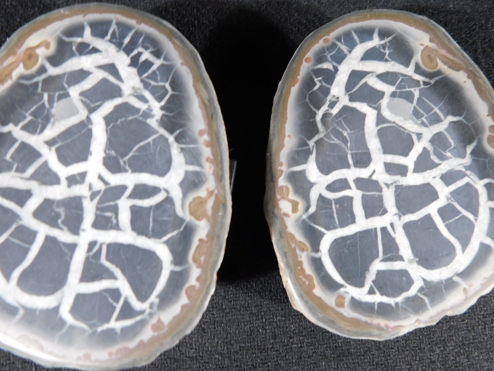 Neat! Lighting Like Pattern! Split and Polished SEPTARIAN Nodule Morocco 248gr
