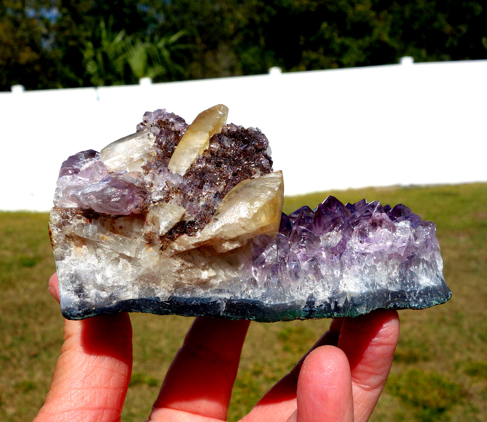 DOGTOOTH CALCITE in Amethyst Flower Quartz Crystal Point a Uruguay STALACTITE