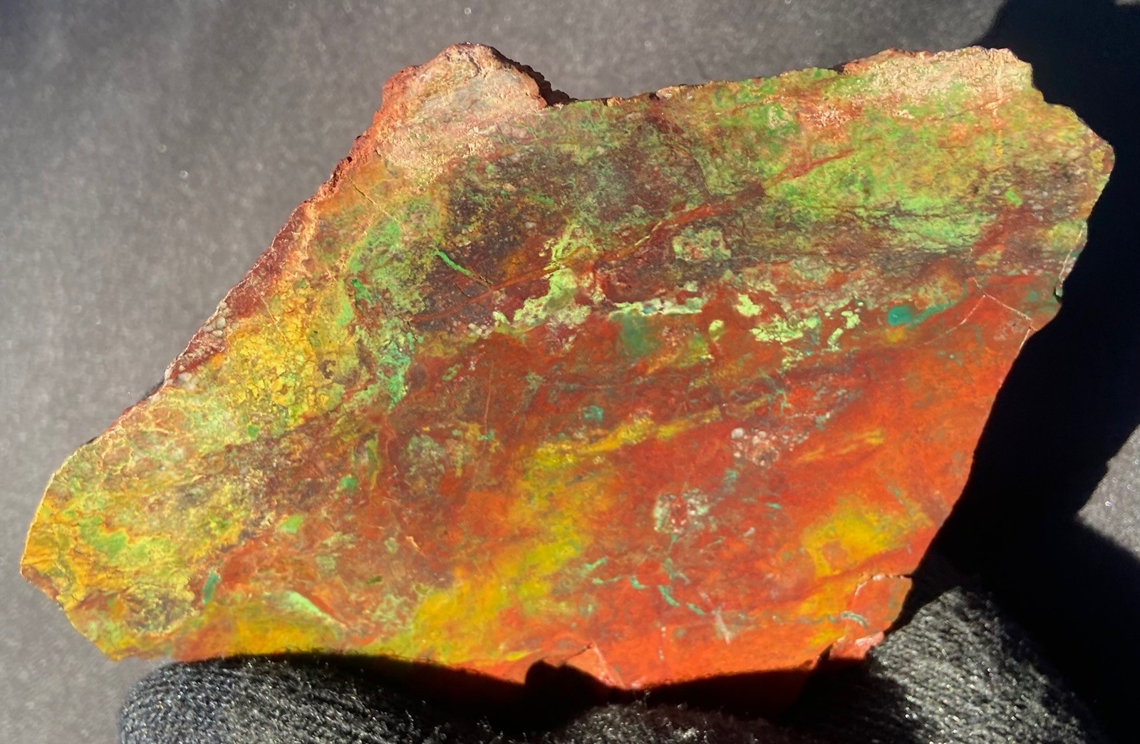 Parrot Wing Chrysocolla Colorful AA Big Slab Untreated No Cracks 212 Gram 7.5 Oz