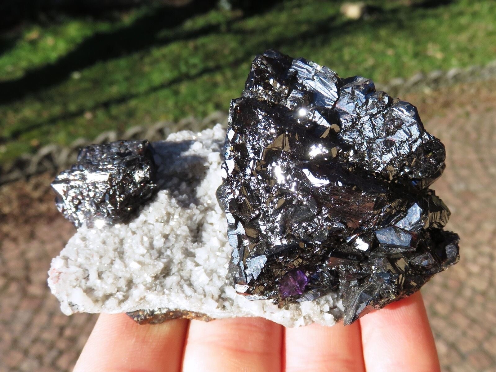 Minerals *** RICCI Of Black/Brown Blende On Matrix Bulgaria