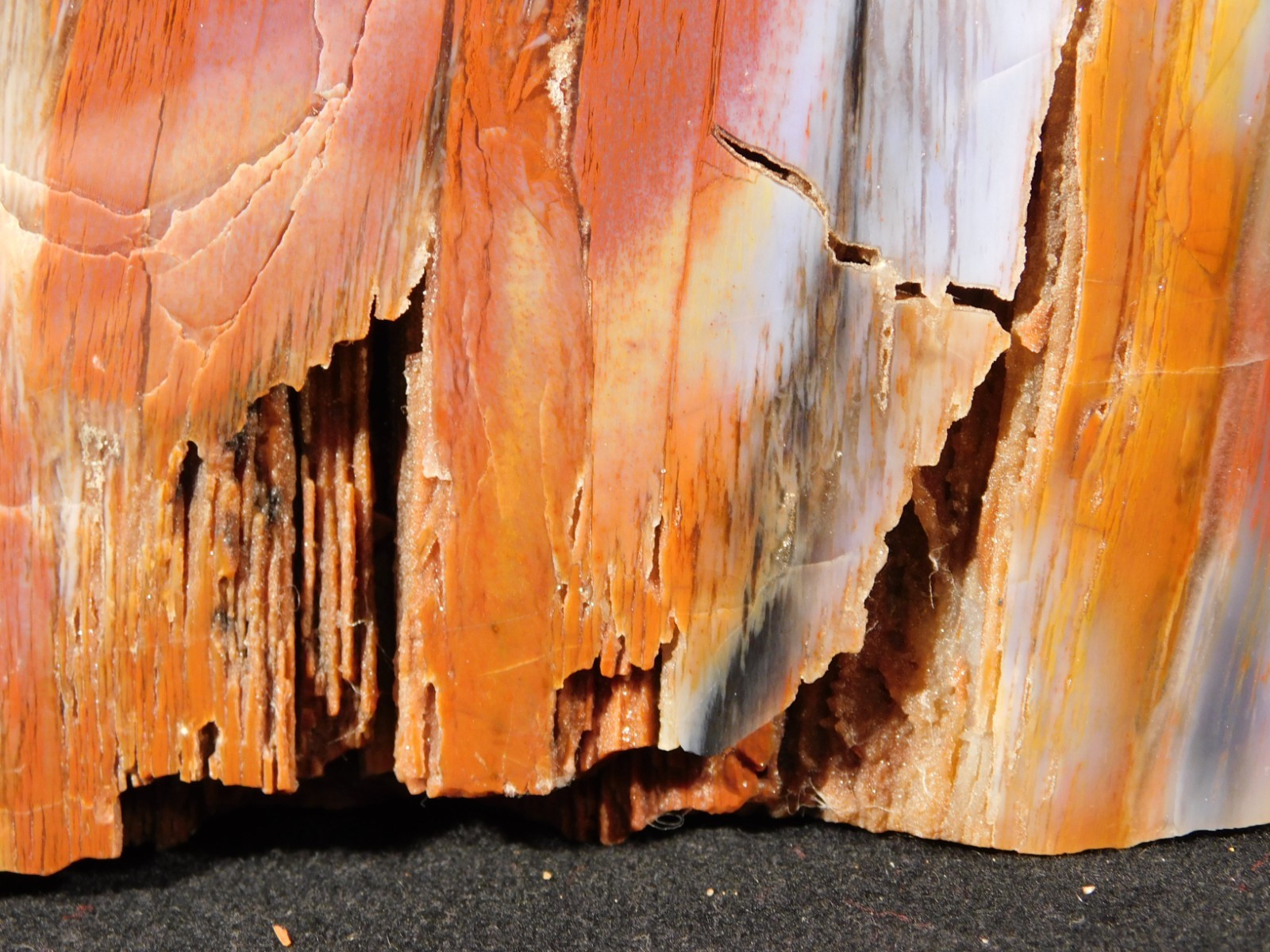 Big Free Standing Polished Deep RED Petrified RAINBOW WOOD Fossil Arizona 1791gr