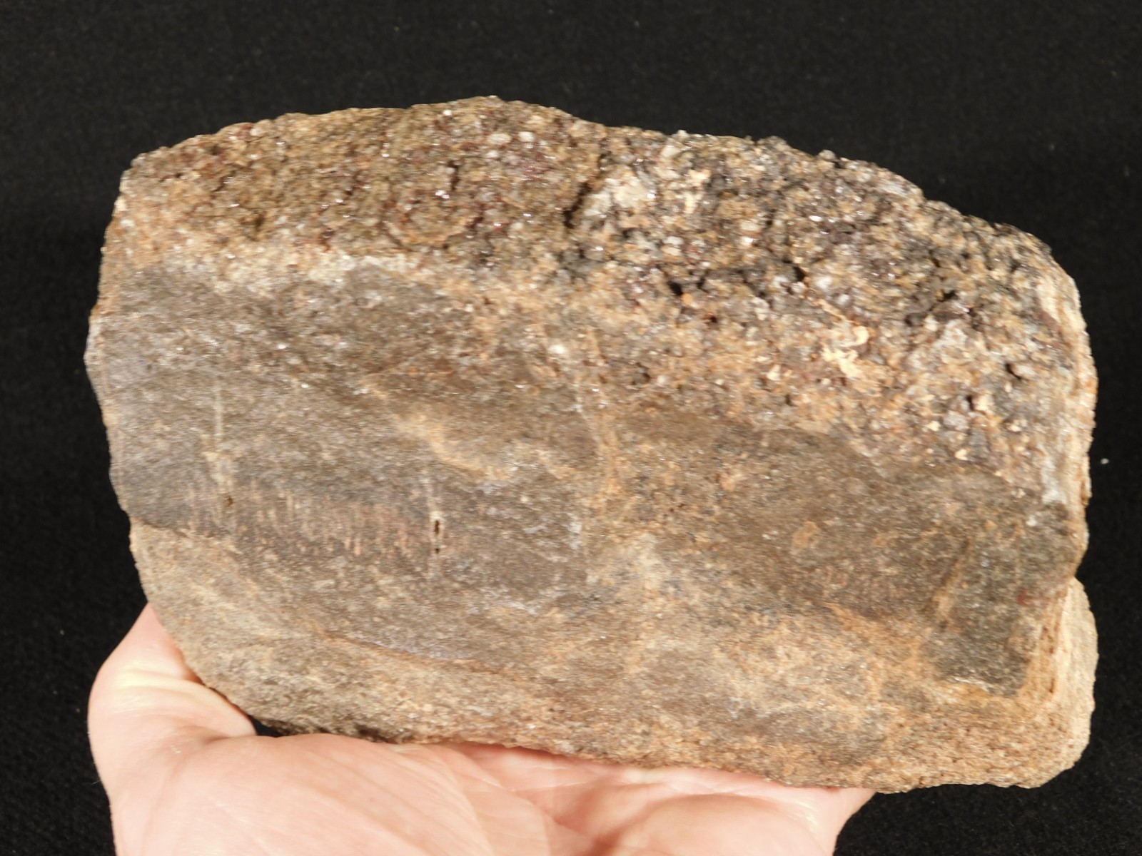 Big! Petrified Wood Fossil With SMOKY Quartz CRYSTALS Utah 2362gr