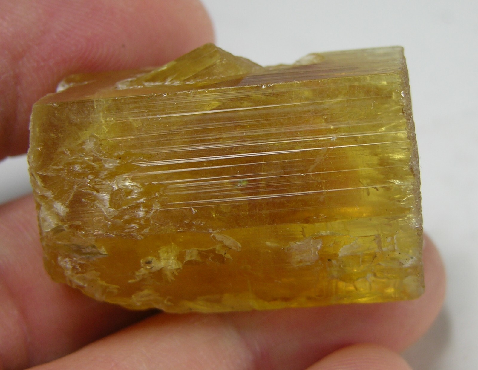 162.25ct Pakistan Terminated Raw Rough Beryl Heliodor Crystal Specimen 32g 36mm