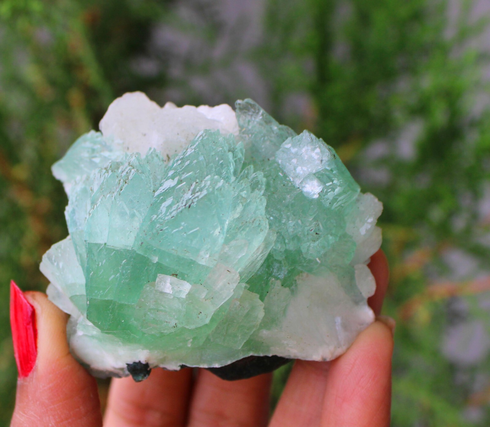 Green Apophyllite Crystals On Matrix Minerals Specimen #M50