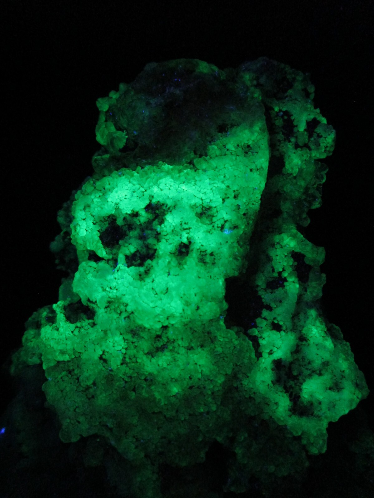 Incredulous Monster Size Fluorescent Hyalite Opal Zacatecas, Mexico Purity Hope