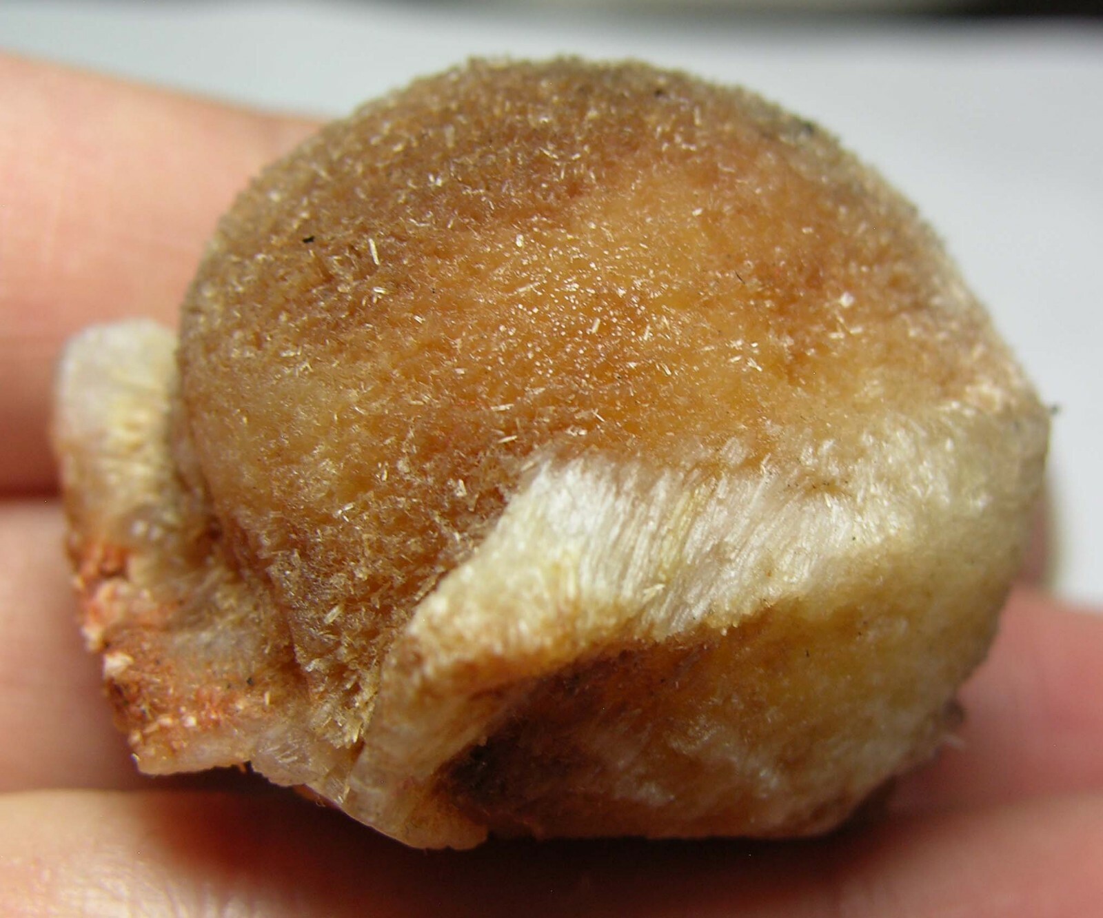 #8 India 1 1/2 in Brown Thomsonite Crystal With Stilbite Specimen 38.00mm