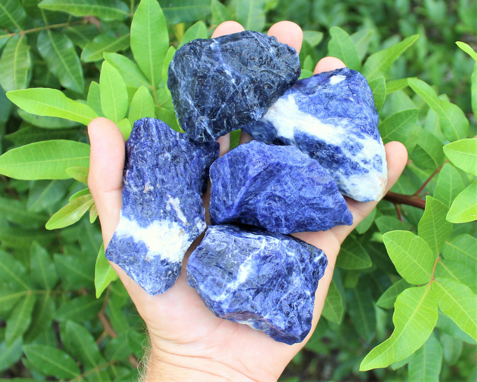 LARGE Rough Sodalite Chunks, 2 – 3″ (Raw Sodalite, ‘A’ Grade Jumbo Crystal)
