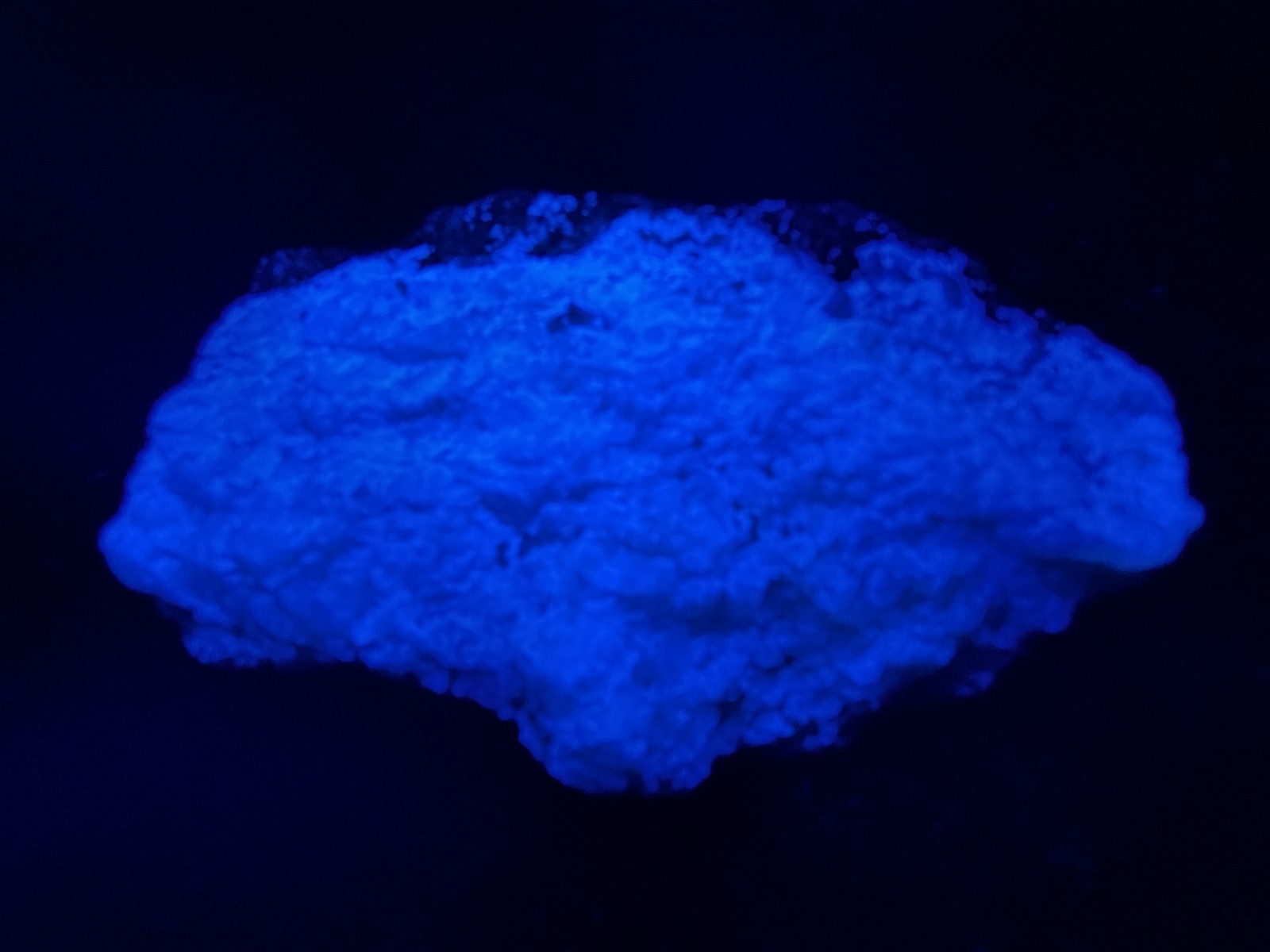 KB: SW FL BRIGHT!! BLUE/WHITE SCHEELITE XLINE. ON GNEISS YUNNAN PROVINCE, CHINA