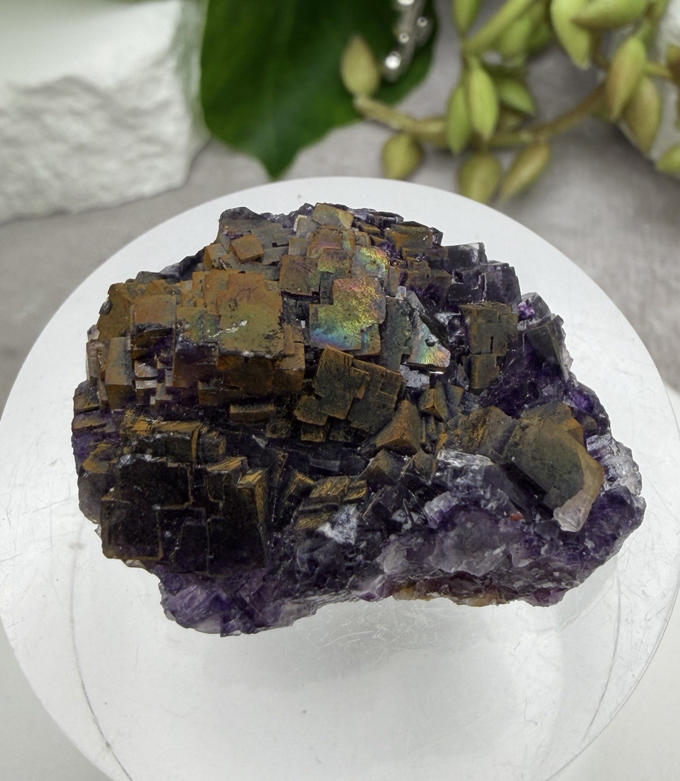 Crystal 25g Rainbow Covered Purple Fluorite UV Reactive Cluster Specimen Mineral