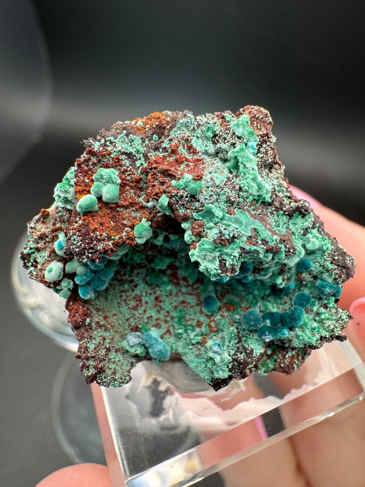 6757 Rosasite and Malachite on Matrix in Perky 8g Ojuela Mine, MX