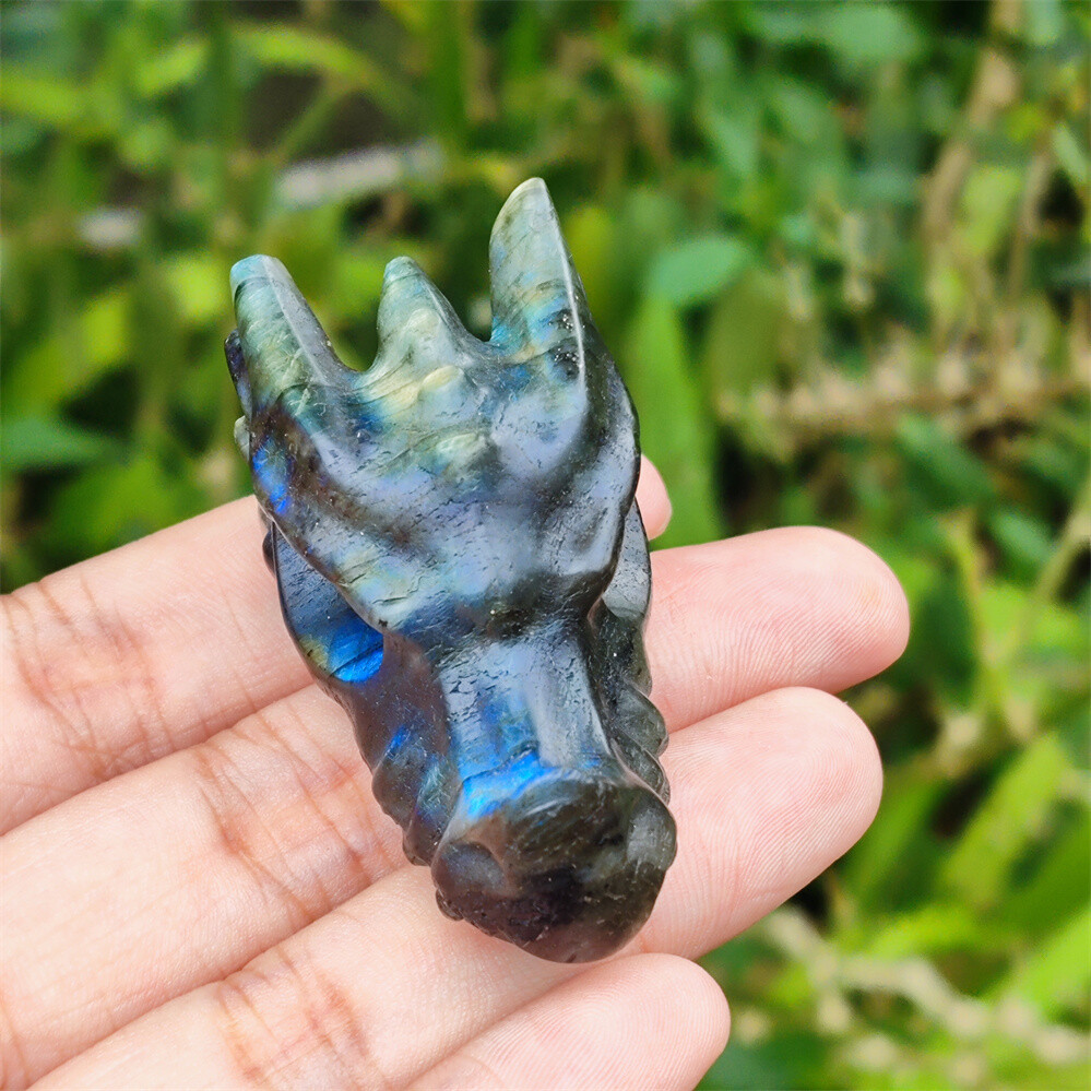 2″ Natural Hand Carved Dragon Skull Quartz Crystal Skull Gem Reiki Healing 1PC