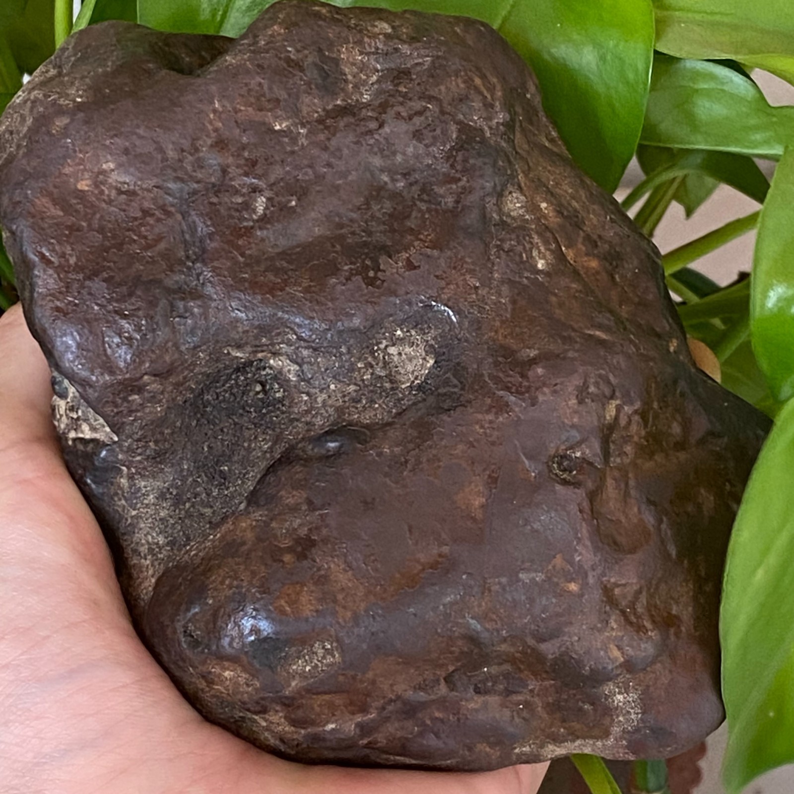 1357g Natural Iron Meteorite Specimen from China W380