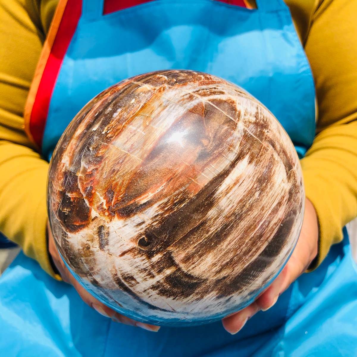 7.72LB Rare Natural Petrified Wood Ball Crystal Quartz Mineral Healing 4709