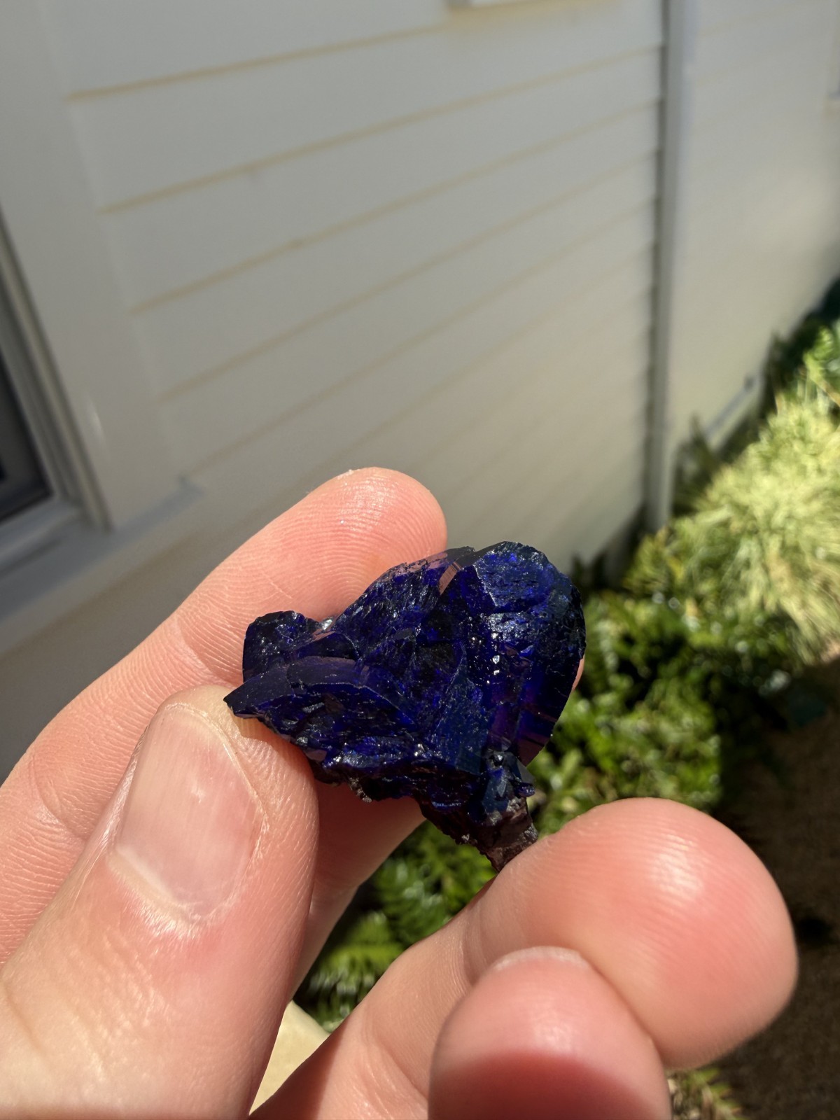 Azurite on matrix from Milpillas Mine, Mexico