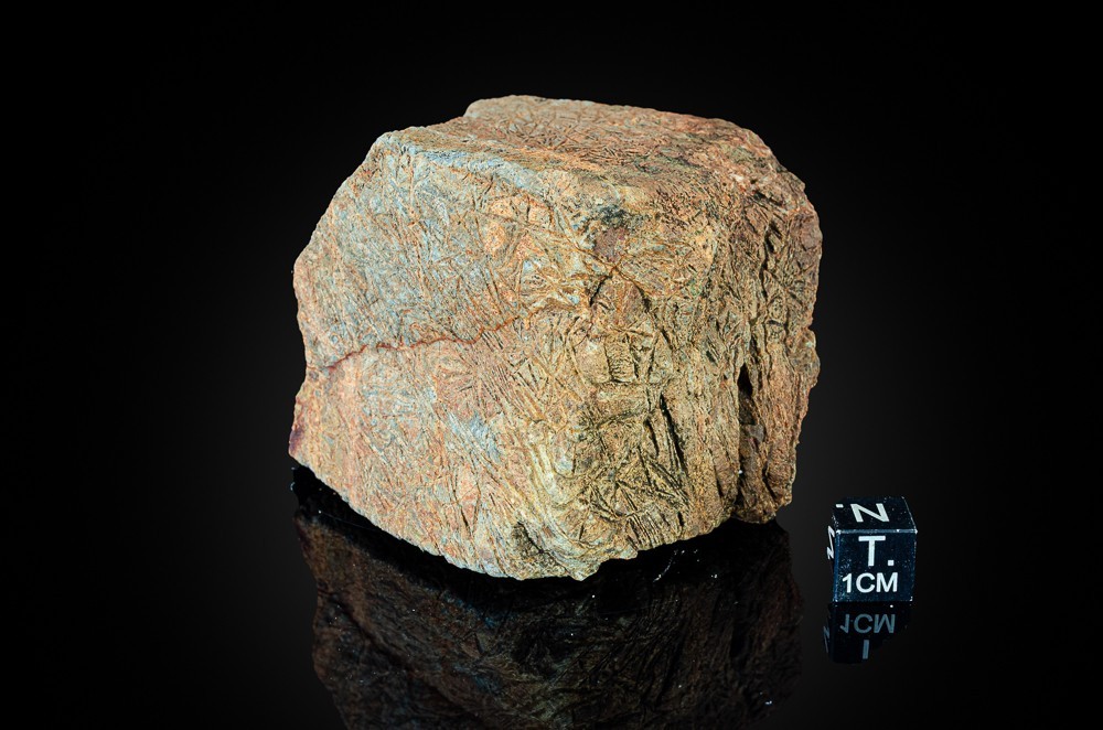 Komatiite Ultramafic mantle derived volcanic rock + Spinifex Barberton S. Africa