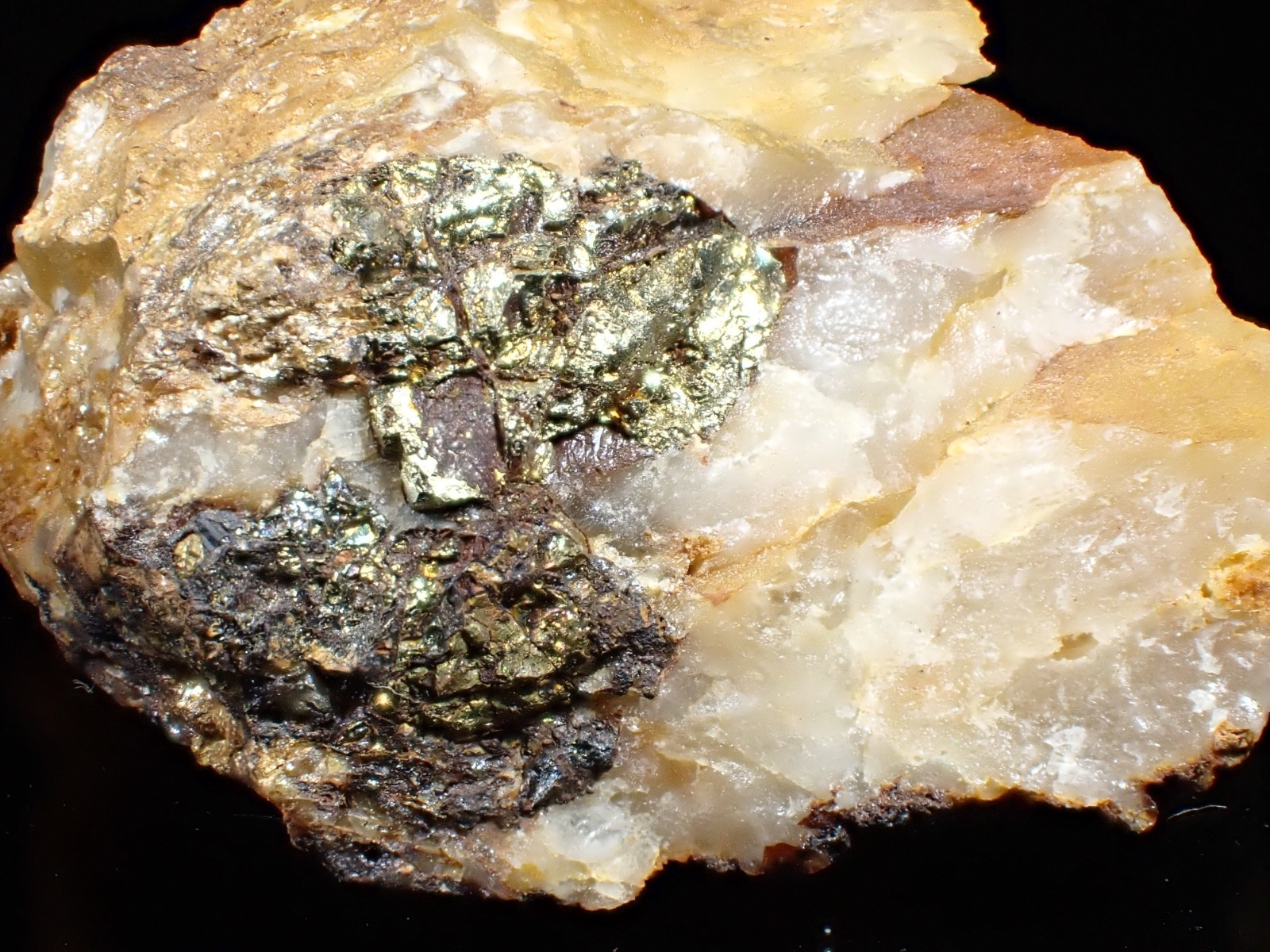 Native Gold on Limonite & Pyrite Capps Mine Mecklenburg Co North Carolina