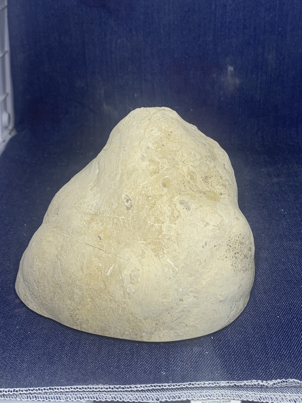 Septarian Nodule Hollow Half ( Utah)fossils And Description Card