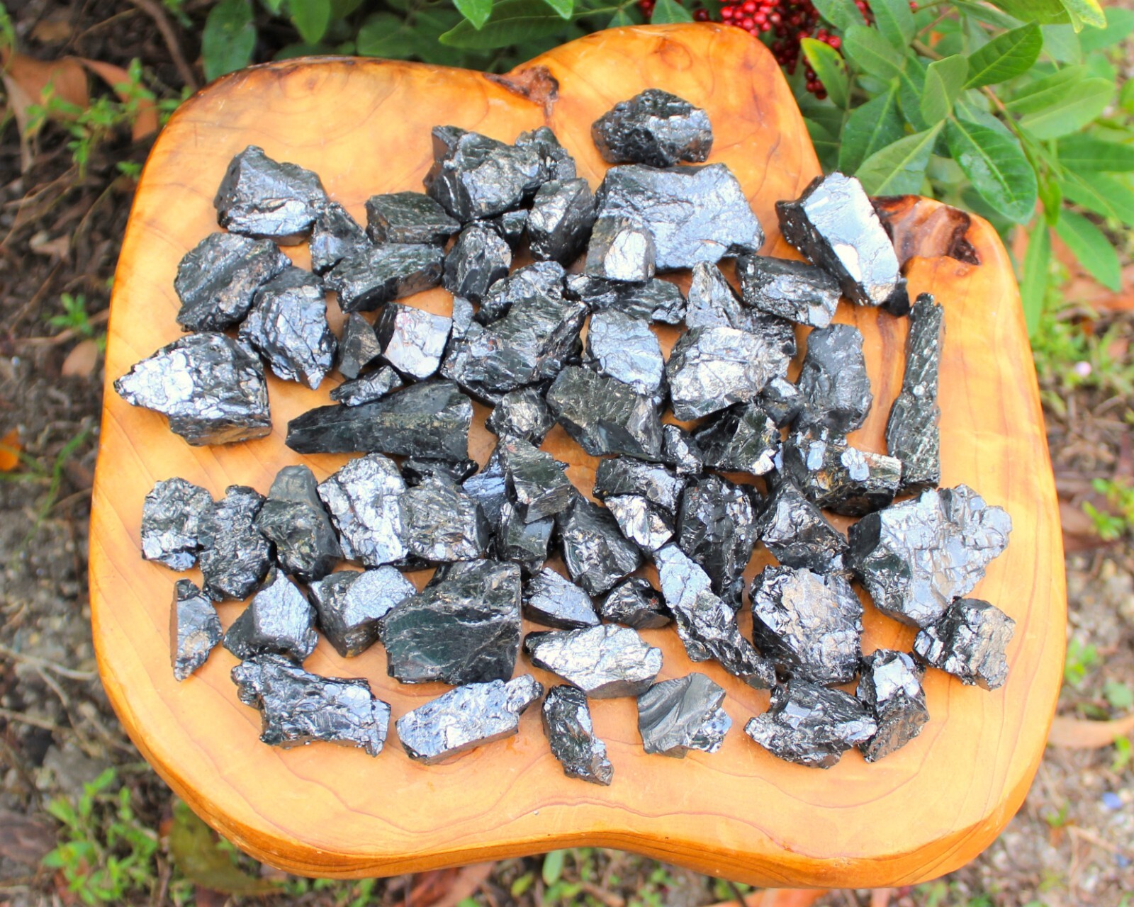Elite Shungite Wholesale Lots – Natural Noble Shungite Crystals (EMF Protection)