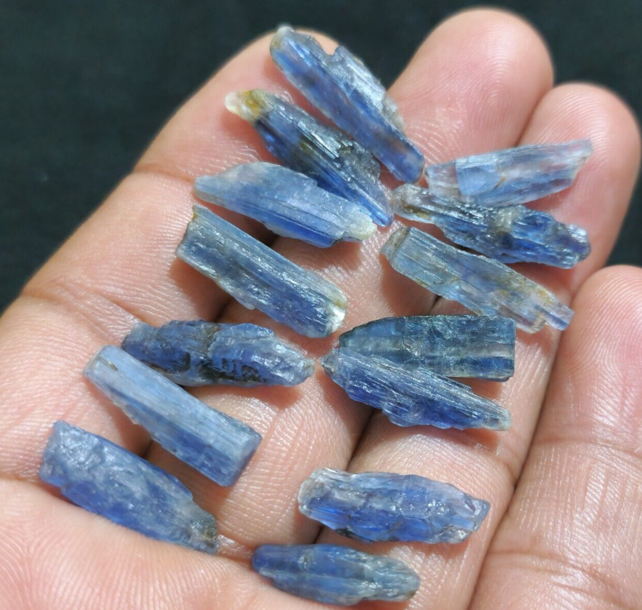Amazing Quality Blue Kyanite Raw 14 Pcs Lot Size 18-23 MM Huge Loose Gemstone