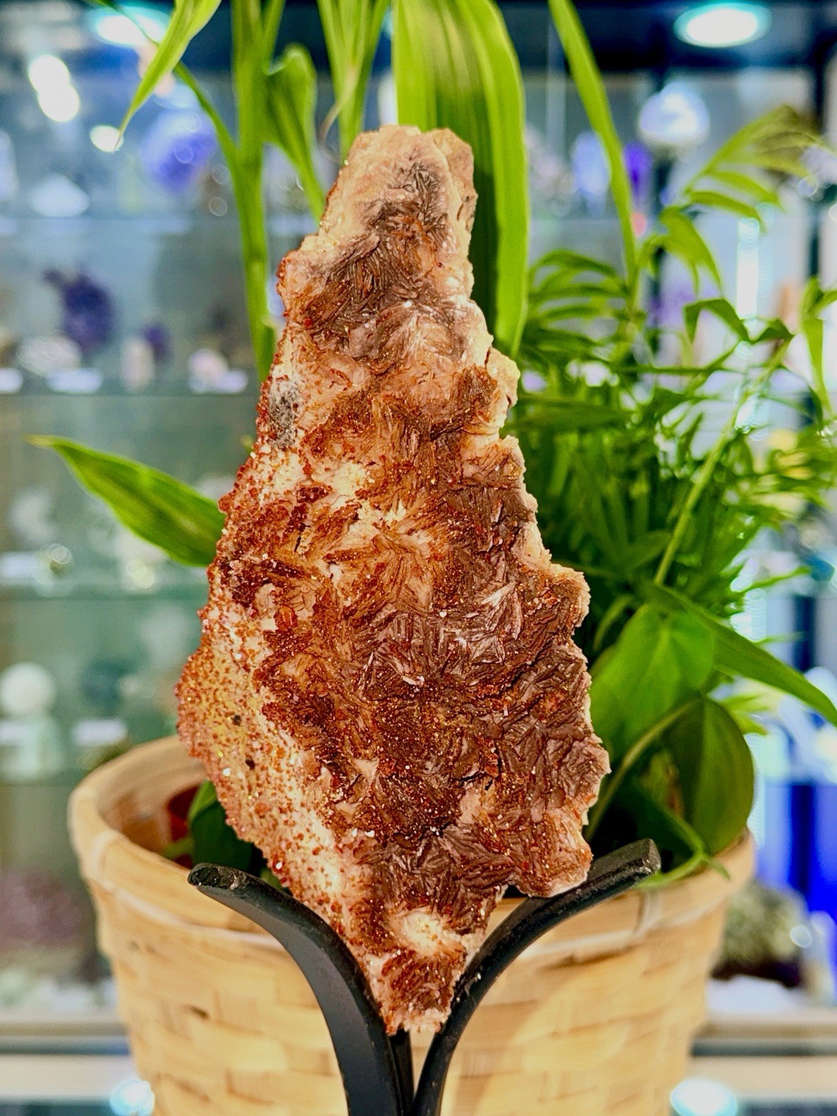 Vanadanite 🇲🇦