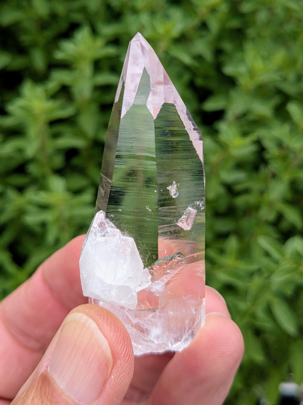 Lemurian Quartz Crystal – Penas Blancas, Colombia