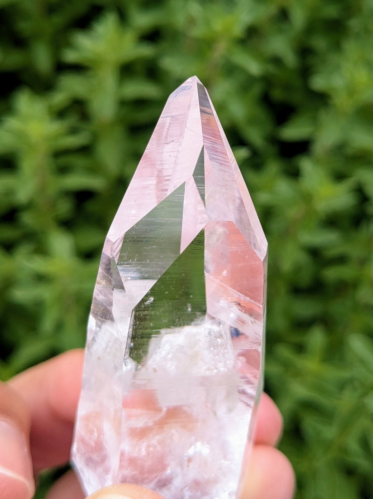 Lemurian Quartz Crystal – Penas Blancas, Colombia