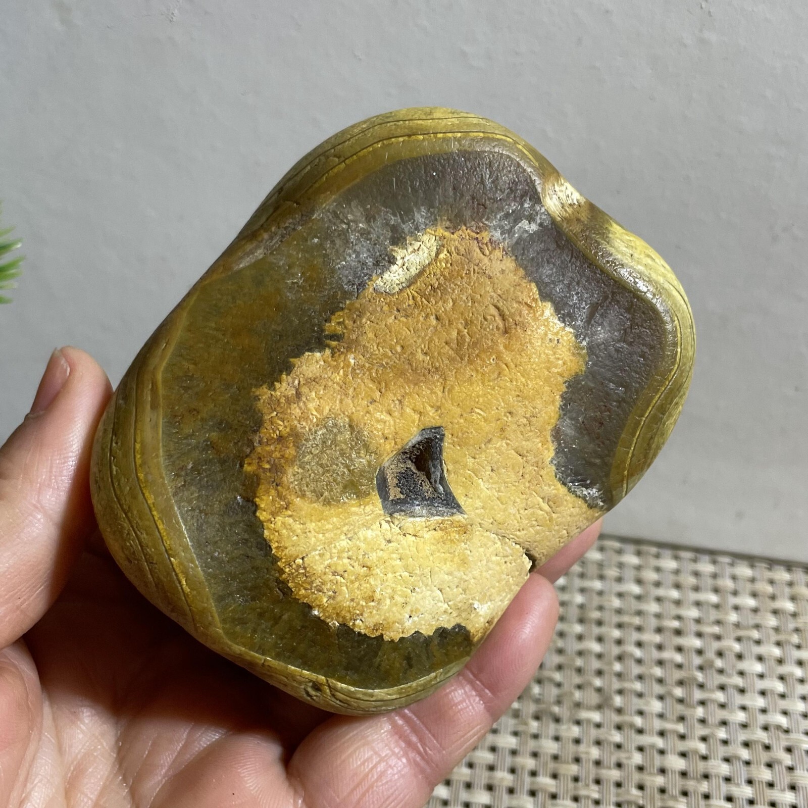 352g Bonsai Suiseki- Gobi Agate Eyes Stone-Rare Stunning Viewing
