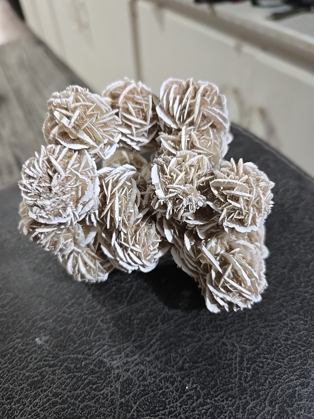 DESERT ROSE SELENITE Gypsum Cluster, A4