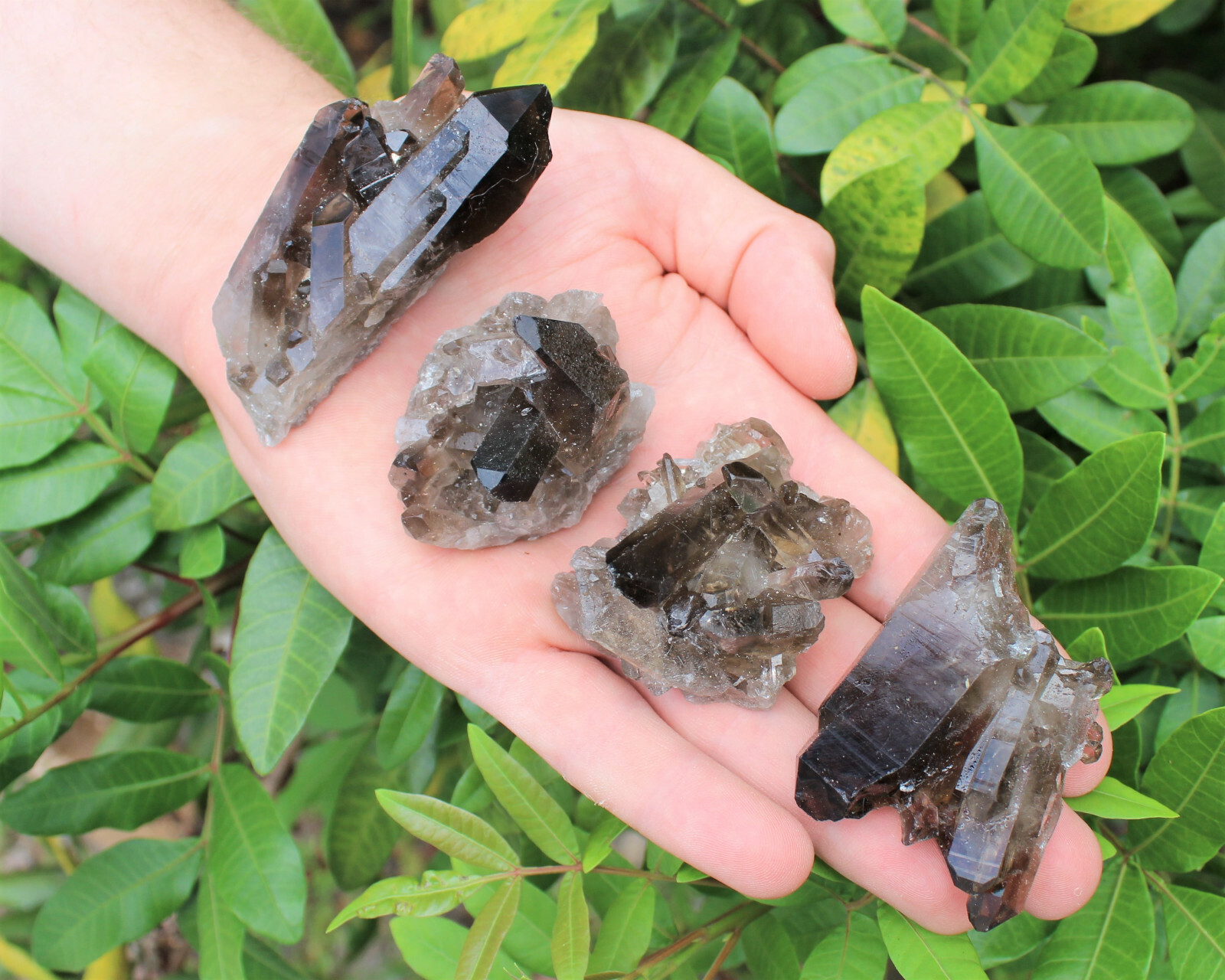 Smoky Quartz Crystal Clusters – Bulk Wholesale ‘A’ Grade High Quality Crystals