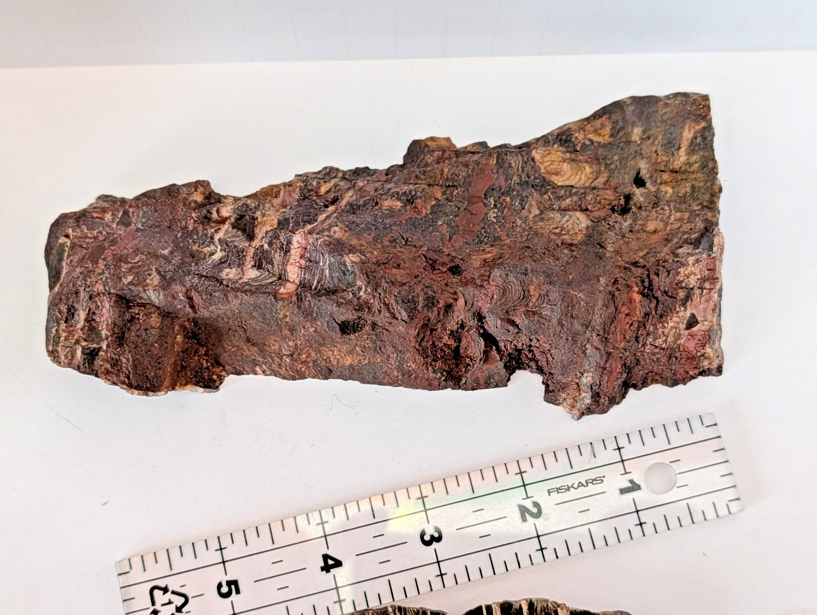 Mary Ellen Stromatolite Pair Iron Range Minnesota Polished Face 378g + 175g