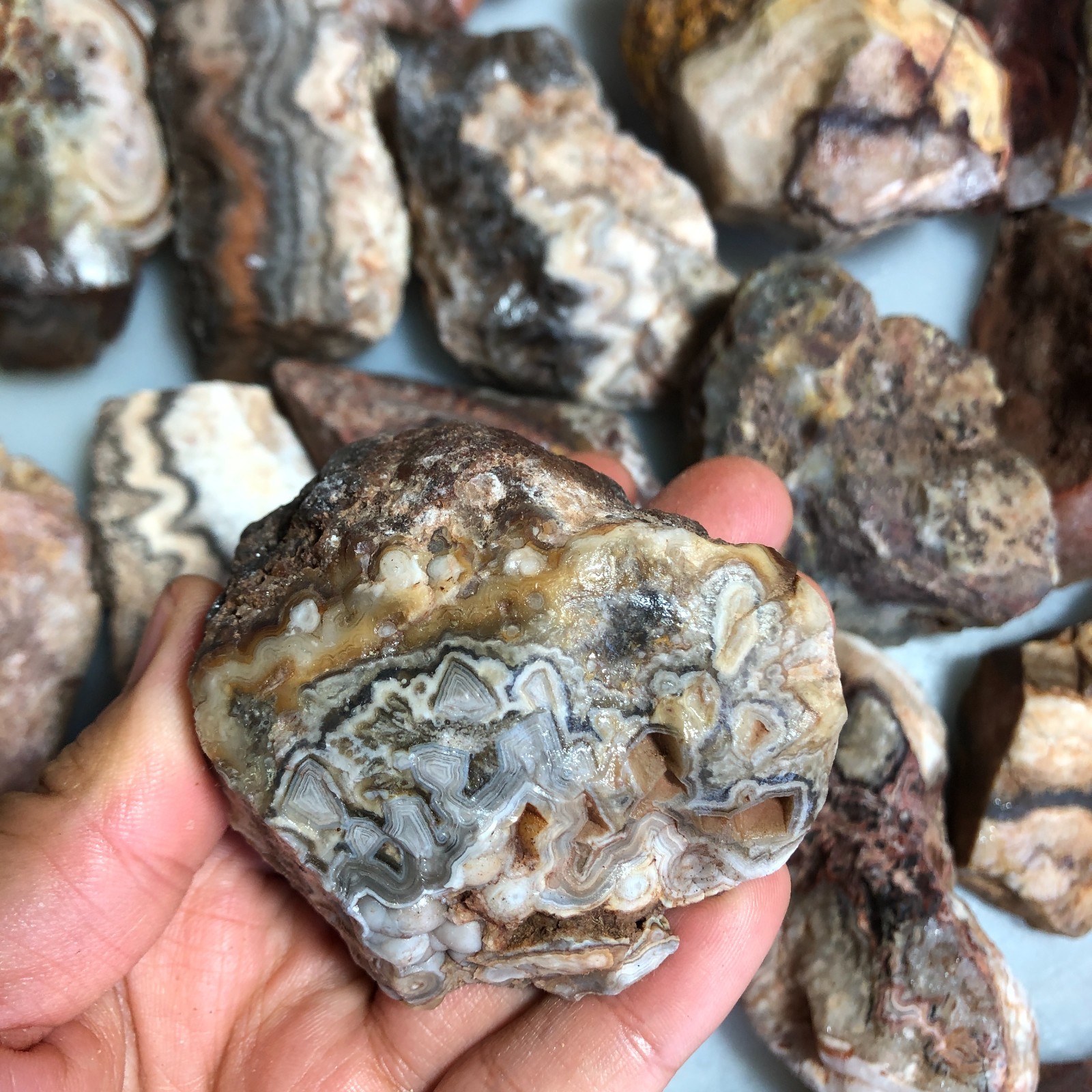 5kg wholesale Natural crazy Mexican agate Crystal gemstone rough original