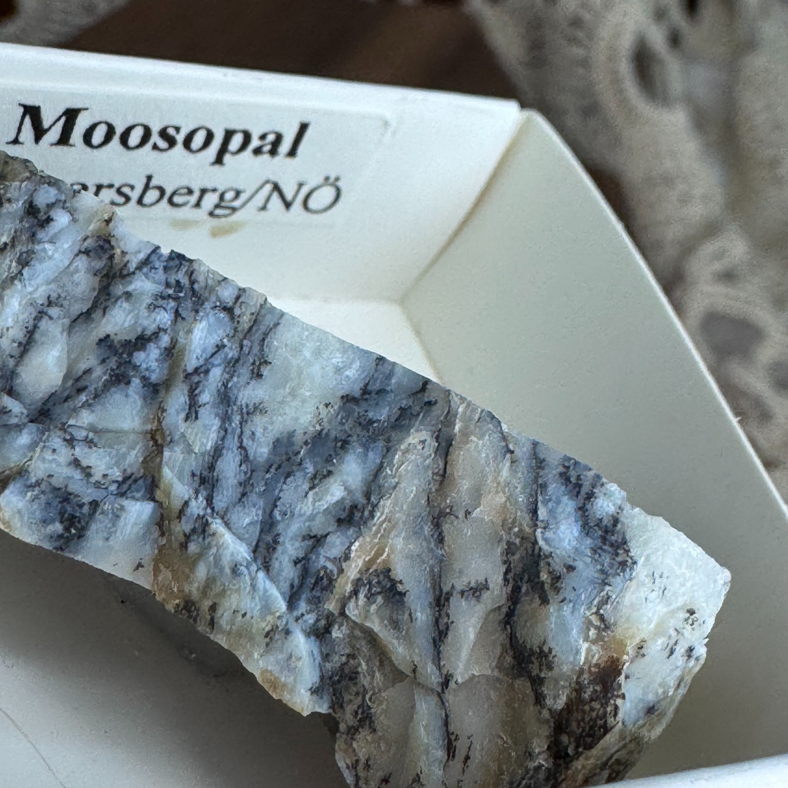 Moosopal Common Opal w/ Dendritic Inclusions Dobersberg NÖ Austria Specimen