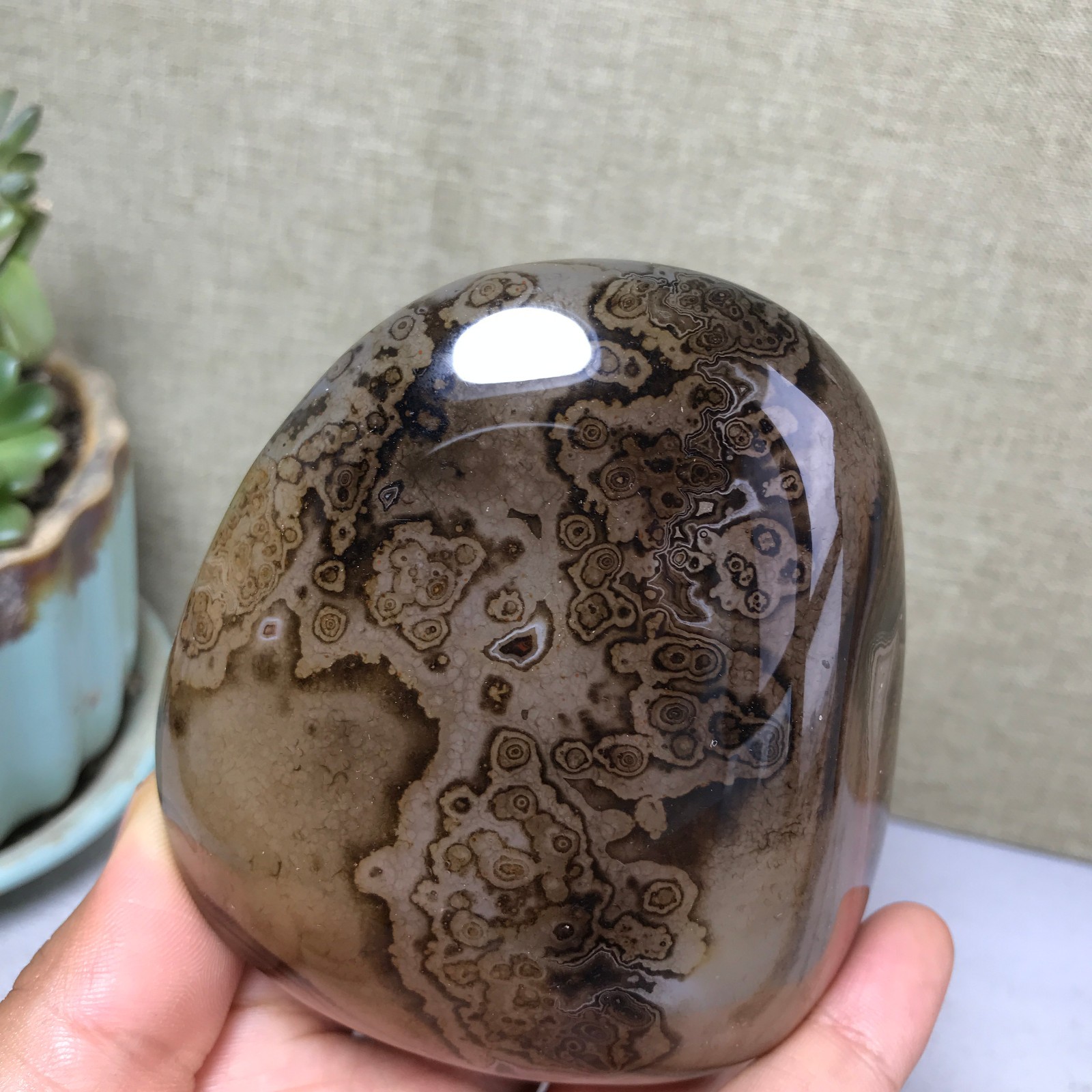 85mm Crazy Lace SILK Banded Agate Polished Crystal Specimen Tumbled 318g A5254