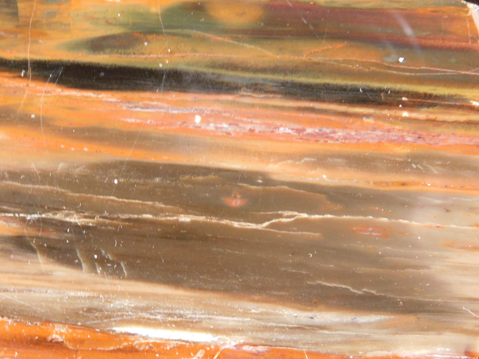 Big! 210 MILLION Year Old! Polished Petrified RAINBOW WOOD Fossil Arizona 1960gr