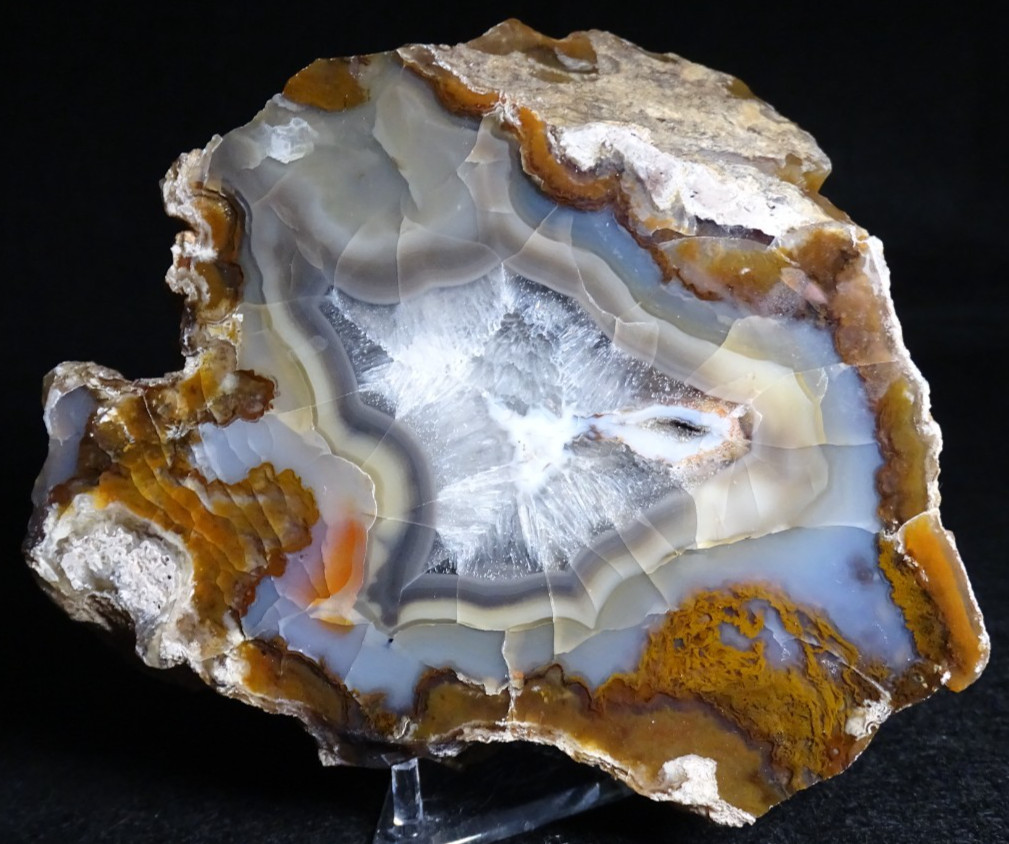 Turkish Agate Half Nodule Collector Specimen Turkey