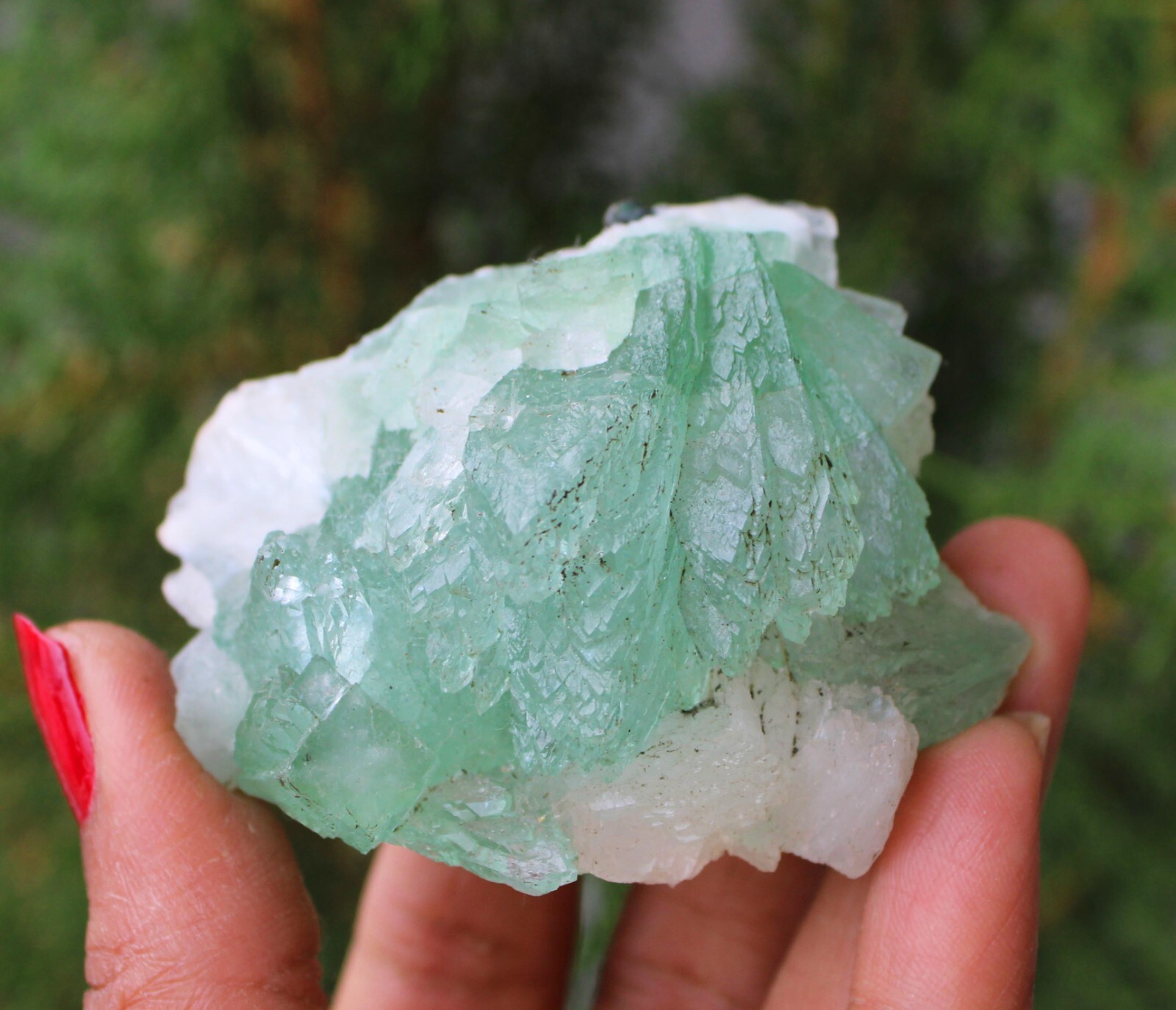 Green Apophyllite Crystals On Matrix Minerals Specimen #M50