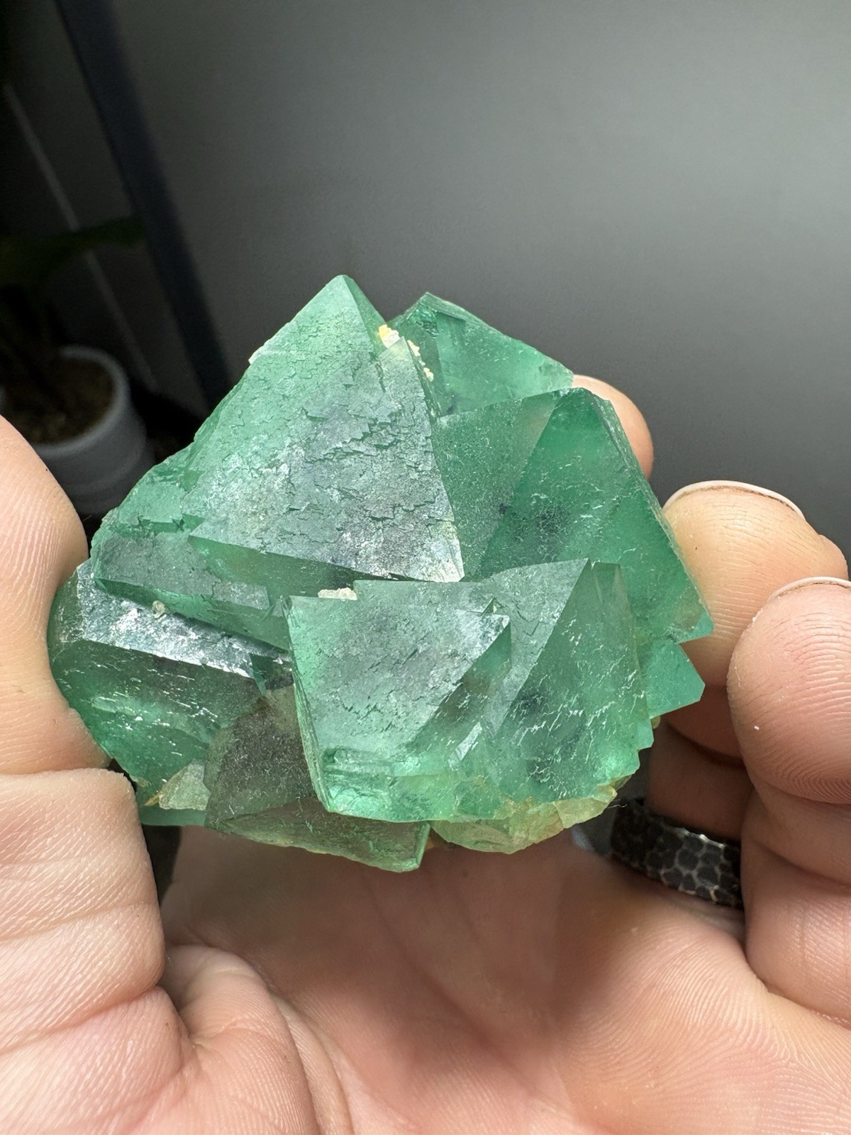 Natural Neon Green Fluorite Octahedron Cluster Riemvasmaak South Africa Nice