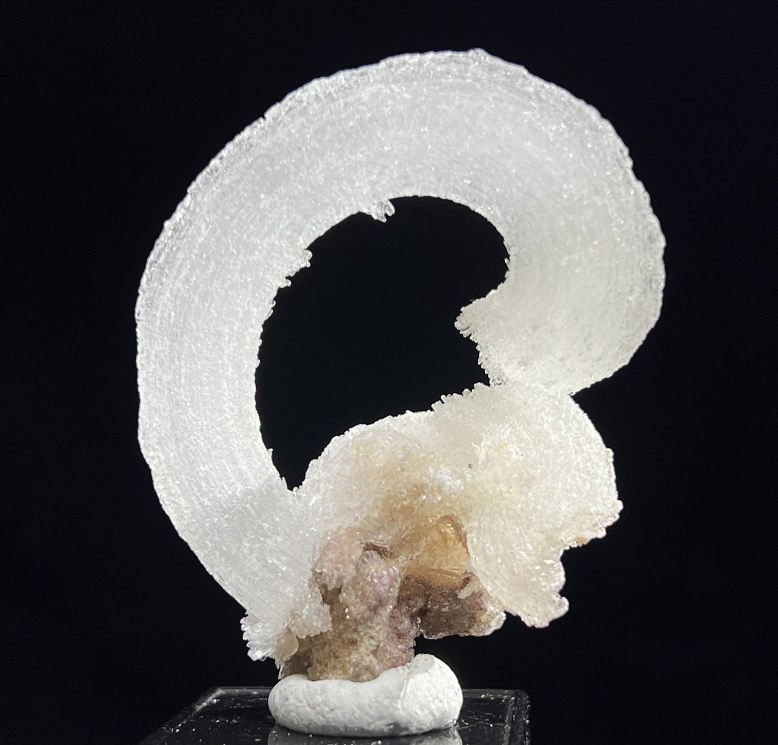 61mm 32g ‘Ram’s Horn’ shape Selenite (Gypsum), Natural Mineral Specimen