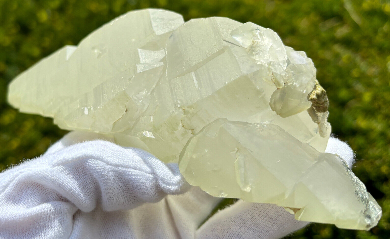 USA SALE SEE VIDEO 479g 1LB+ 6.1″ LARGE ELESTIAL EPIDOTE QUARTZ CRYSTAL SPECIMEN