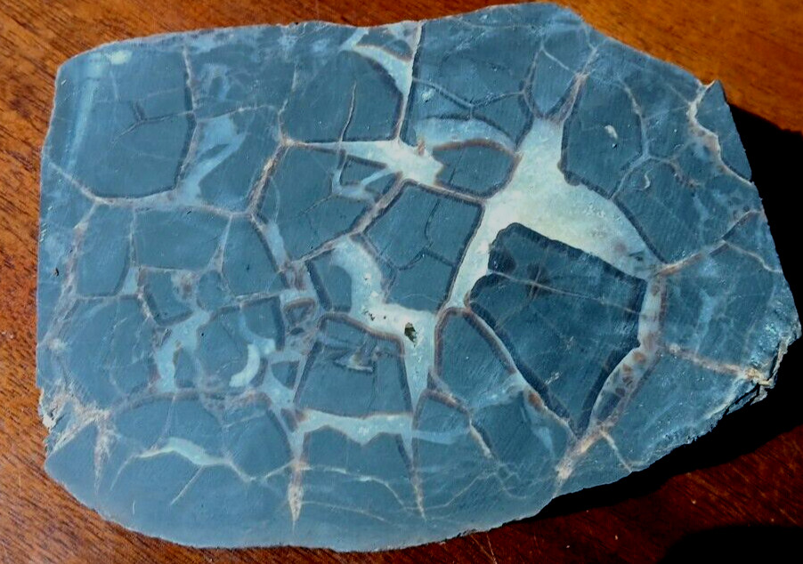 Septarian Nodule UV Reactive End Cut Display Crystal Specimen Glows Purple