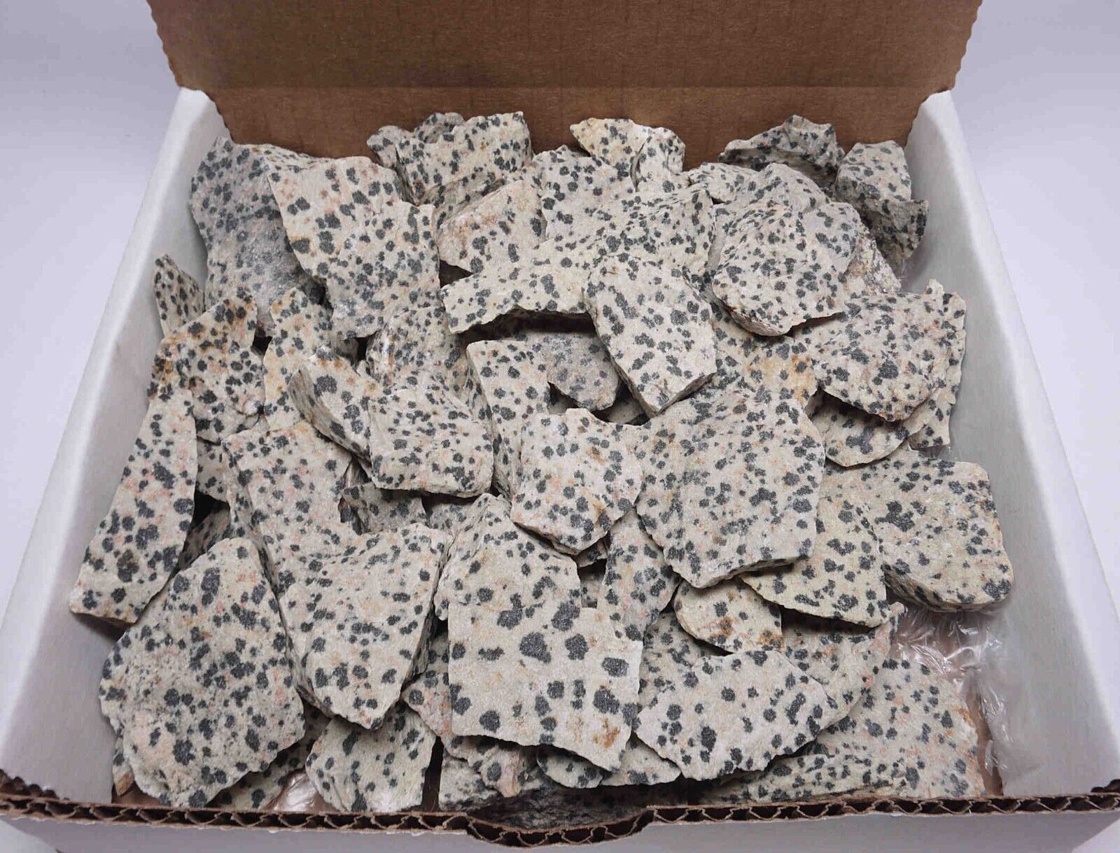 Dalmation Jasper Collection 1 LB Natural Black & White Mineral Specimens