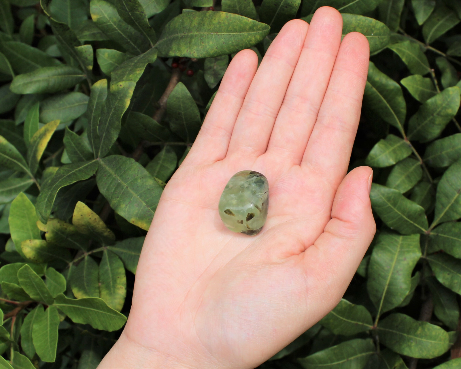 1/4 lb Prehnite with Epidote Tumbled Stones (Crystal Healing Reiki) 4 oz