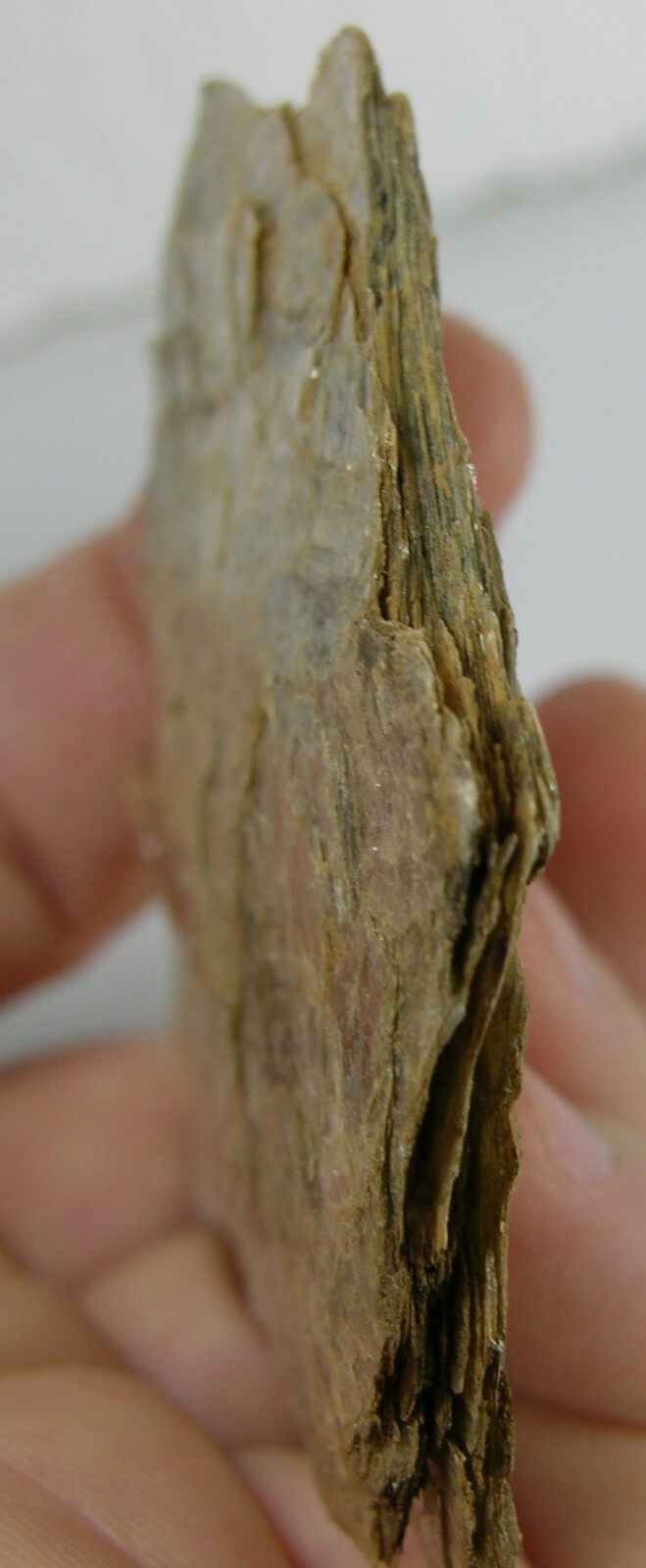 #0 2 3/8 in Coastville Pa USA 100% Natural Raw Silver Mica Specimen 61.00mm