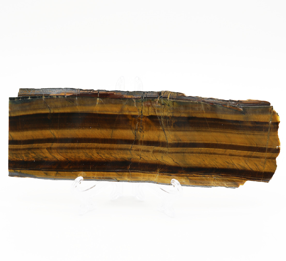 LARGE Elegant TIGERS EYE Fossil Slab SOUTH AFRICAN Mineral Display Collectible